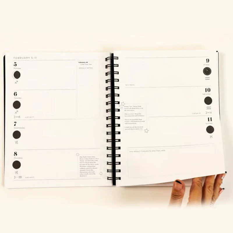 2025 Many Moons Lunar Planner - Image 6