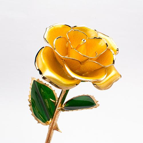 Bloom Eternal 24K Gold Rose - Image 13