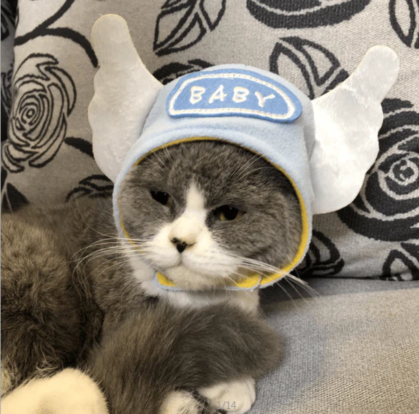 Cat Bunny Ears🔥 - Image 10