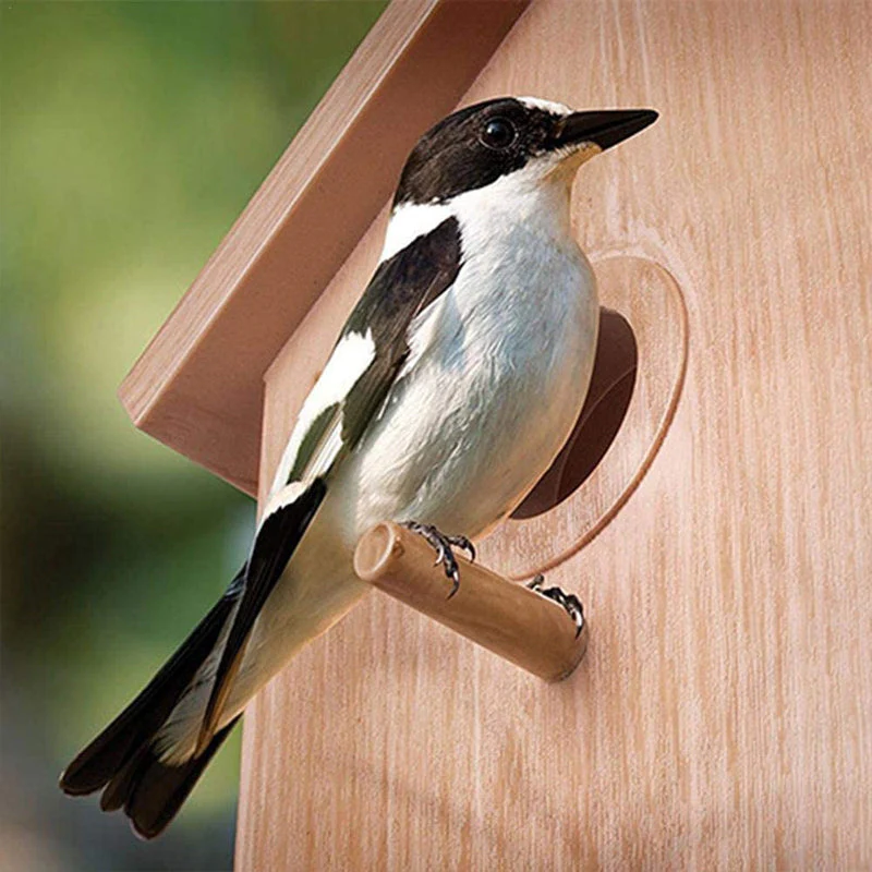 DIY Sucker Bird Nest - Image 7