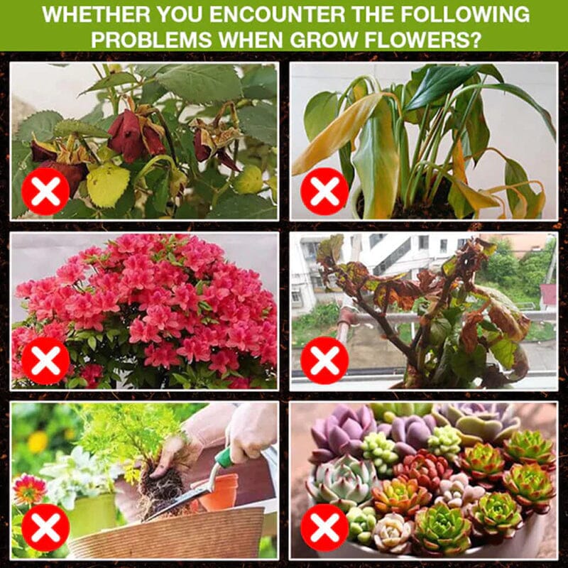 Plant Growth Enhancer Supplement - Image 3