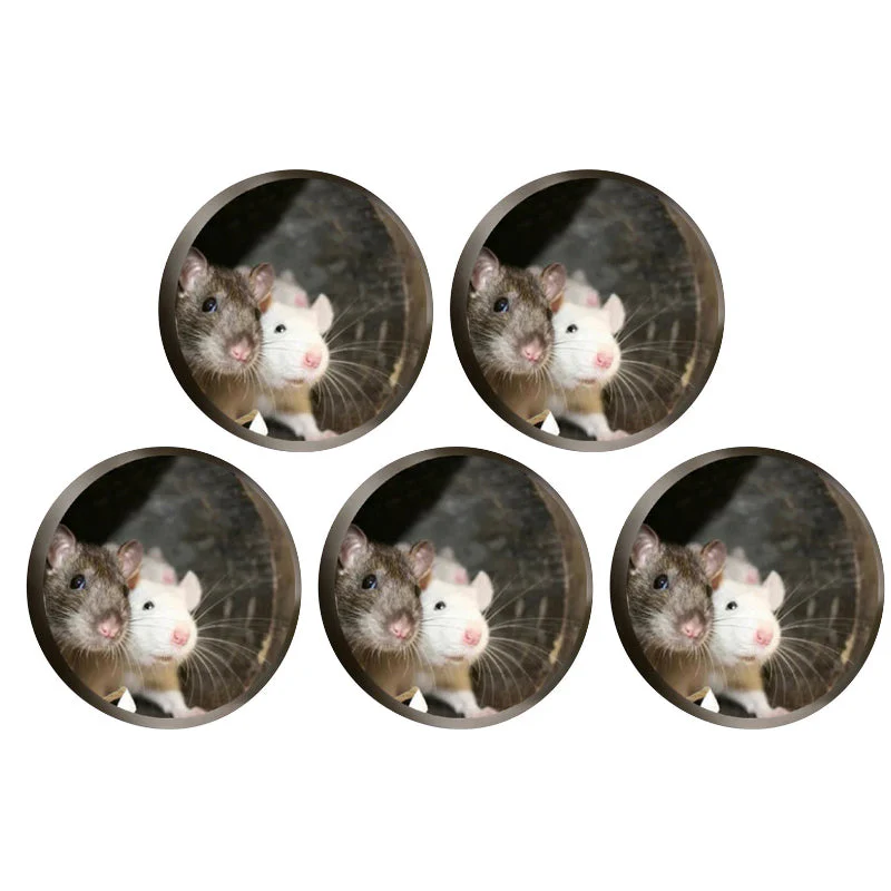 Realistic 3D Mouse Hole Wall Stickers - Image 19