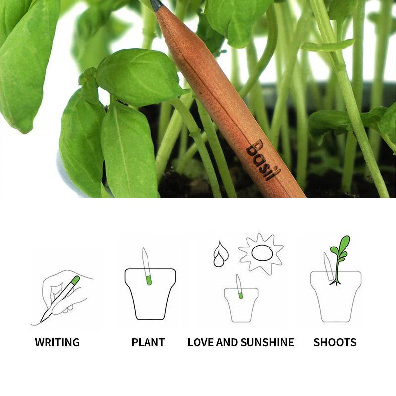 Sprout plantable graphite pencils - 8 Pcs - Image 3