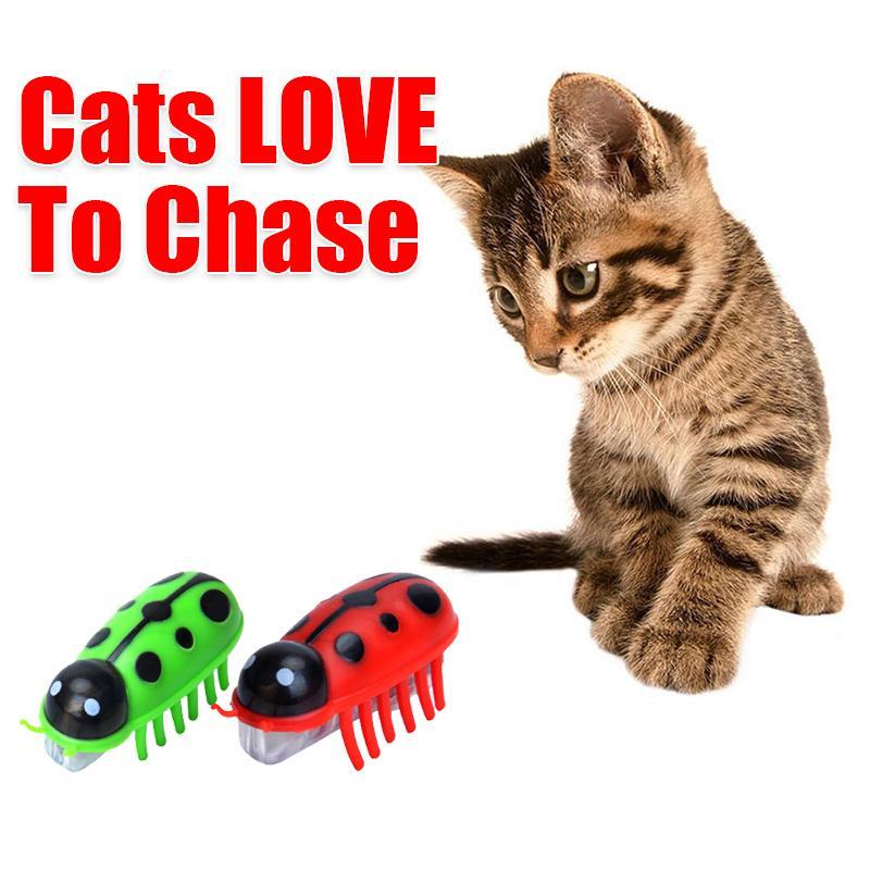 Super Robot Bug Toy for Cats - 2 Pcs - Image 3